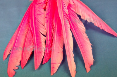 Декоративный Пучок из перьев, перо 25см/розовый - купить в Смоленске. Цена: 14.40 руб.