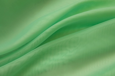 Портьерный капрон 15-6123, 47 гр/м2, шир.300см, цвет св.зелёный - купить в Смоленске. Цена 137.27 руб.