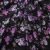 Плательная ткань "Фламенко" 20.1, 80 гр/м2, шир.150 см, принт растительный - купить в Смоленске. Цена 241.49 руб.