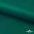 Ткань подкладочная Таффета, 19-5420, 53 г/м2, антистатик, шир. 150 см, вечнозеленый - купить в Смоленске. Цена 57.16 руб.
