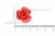 Украшение "Розы малые №1" 20мм - купить в Смоленске. Цена: 32.49 руб.
