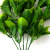 Трава искусственная -1, шт (эвкалипт лист 32 см/8 см)				 - купить в Смоленске. Цена: 169.93 руб.