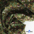 Ткань костюмная «Микровельвет велюровый принт», 220 г/м2, 97% полиэстр, 3% спандекс, ш. 150См Цв  #9 - купить в Смоленске. Цена 439.76 руб.