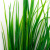 Трава искусственная -2, шт (осока 41см/8 см)				 - купить в Смоленске. Цена: 104.57 руб.