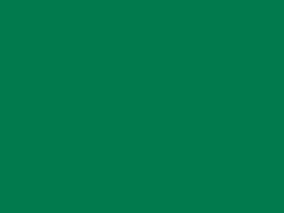 85 см № 258 яр. зеленый спираль (G) сорт-2 - купить в Смоленске. Цена: 16.97 руб.