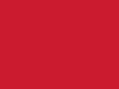 Сетка подкладочная красный, 60г/м2 (10 м/кг) - купить в Смоленске. Цена 894.77 руб.