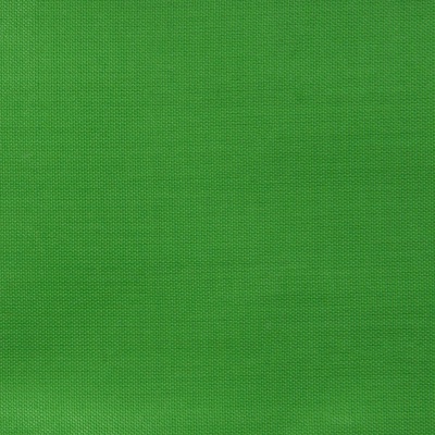 Ткань подкладочная Таффета 17-6153, 48 гр/м2, шир.150см, цвет трава - купить в Смоленске. Цена 54.64 руб.