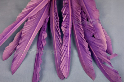 Декоративный Пучок из перьев, перо 25см/фиолетовый - купить в Смоленске. Цена: 12.19 руб.