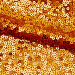 Сетка с пайетками №23, 188 гр/м2, шир.130см, цвет оранжевый