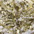 Трикотажное полотно, Сетка с пайетками, шир.130 см, #315, цв.-белый/золото - купить в Смоленске. Цена 693.39 руб.
