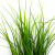 Трава искусственная -3, шт (осока 50 см/8 см  5 листов)				 - купить в Смоленске. Цена: 124.17 руб.